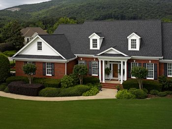 Professional Roof Cleaning