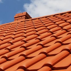 Roof Cleaning