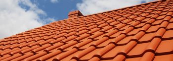 Roof Cleaning