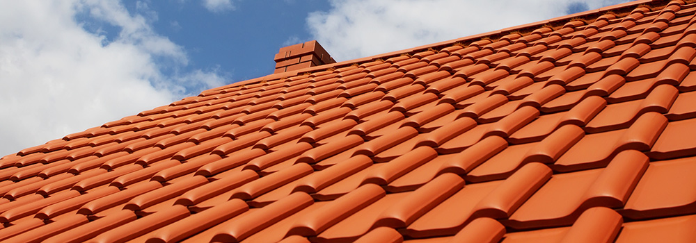 Roof Cleaning