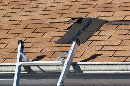 Roof Shingle Replacement