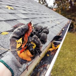 roof cleaning portland OR roof cleaning portland OR