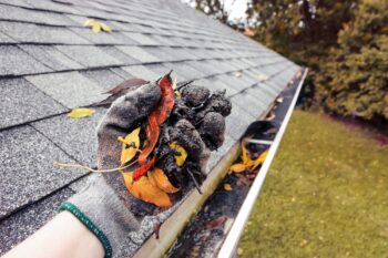 roof cleaning portland OR