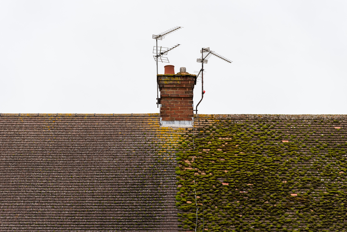 roof cleaning portland or