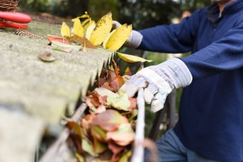 Gutter Cleaning Lake Oswego