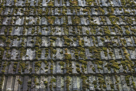 Roof Cleaning Lake Oswego Roof Cleaning Lake Oswego