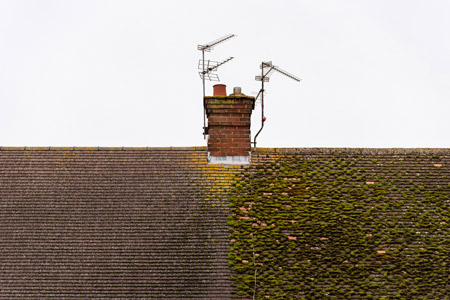 Roof Cleaning Tigard Or