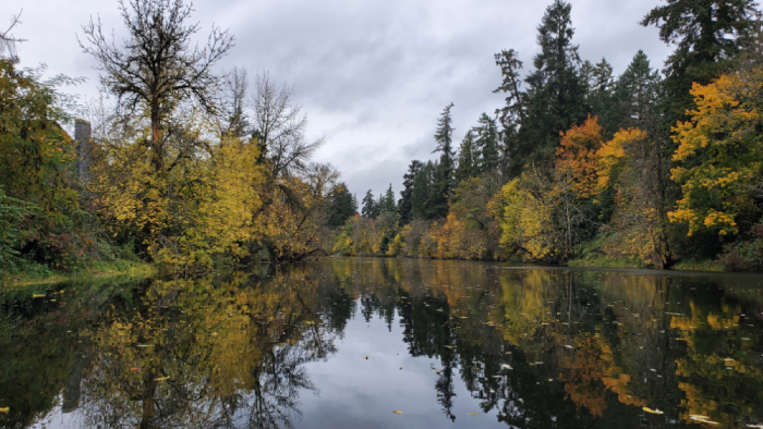 Browns Ferry Park