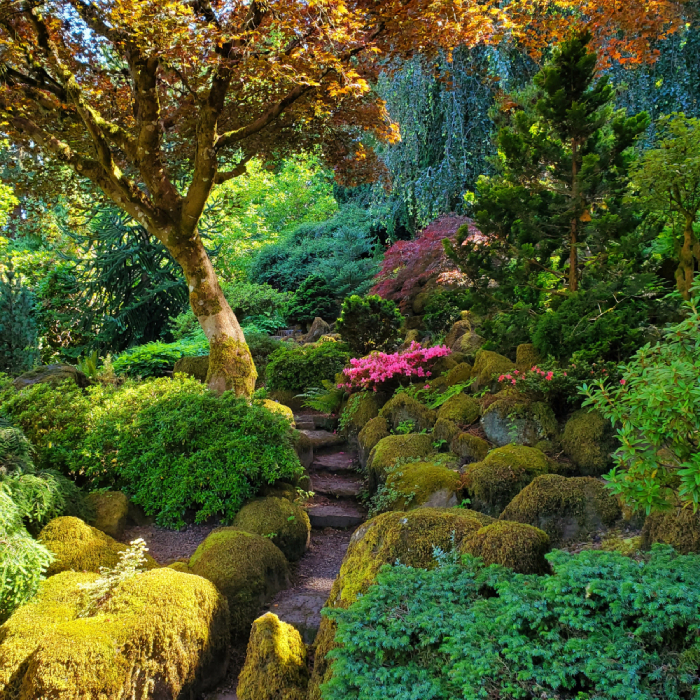Elk Rock Garden