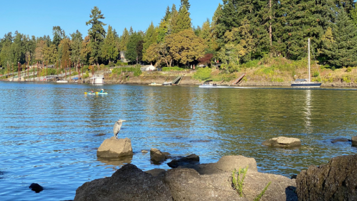 Foothills Park