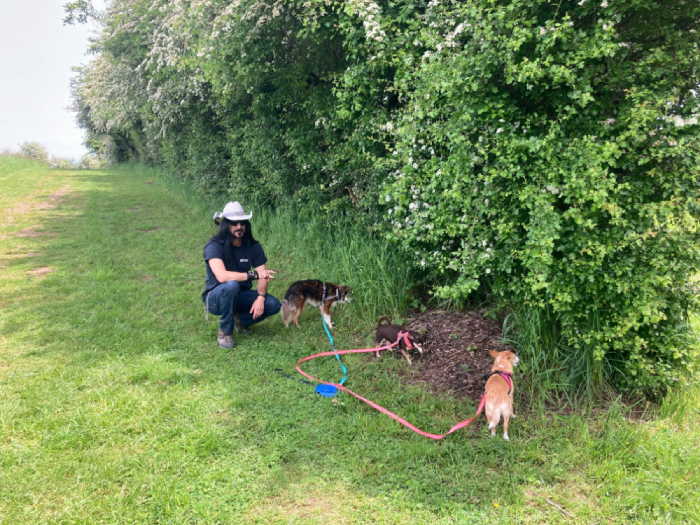 Hazelia Dog Park