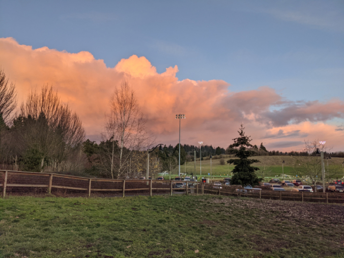 Hazelia Field at Luscher Farm