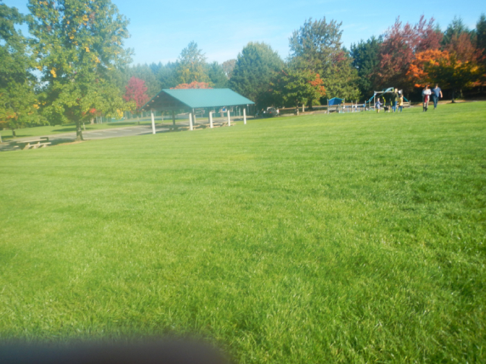 Ibach Park