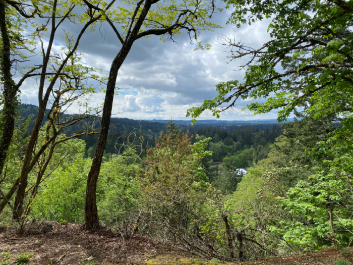 Iron Mountain City Park