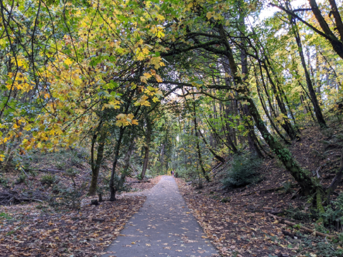 Mary S. Young Park