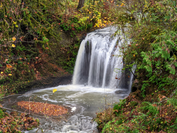 Hidden Falls Nature Park