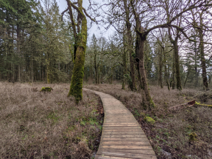 Mount Talbert Nature Park