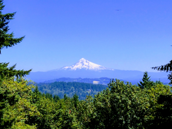 Scouters Mountain Nature Park