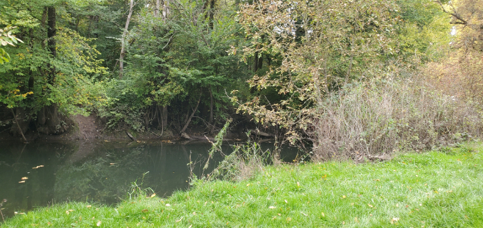 Tualatin Hills Park