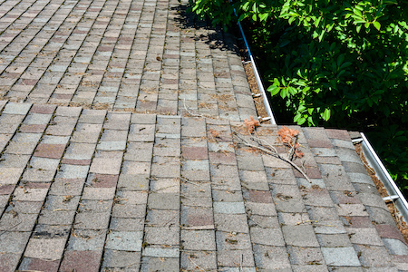 Roof Cleaning Services Tigard 