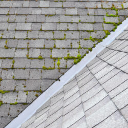 Roof Cleaning Tigard