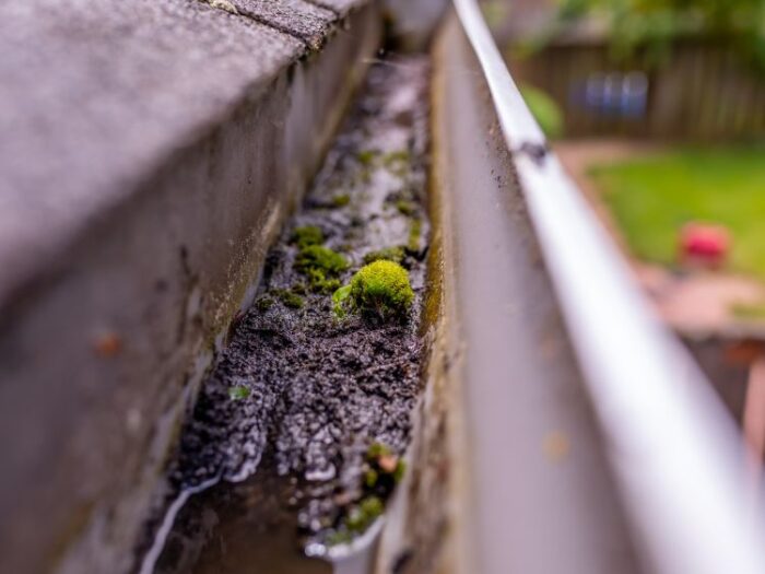 Gutter Cleaning Near Me