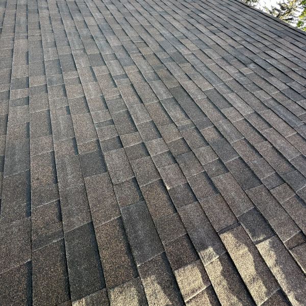 Local Roofing Contractor Near Me