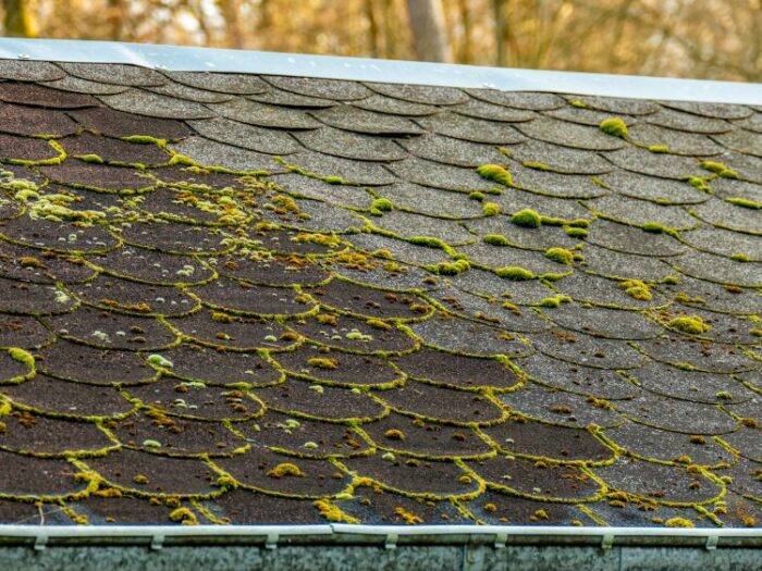 Roof Cleaning Services