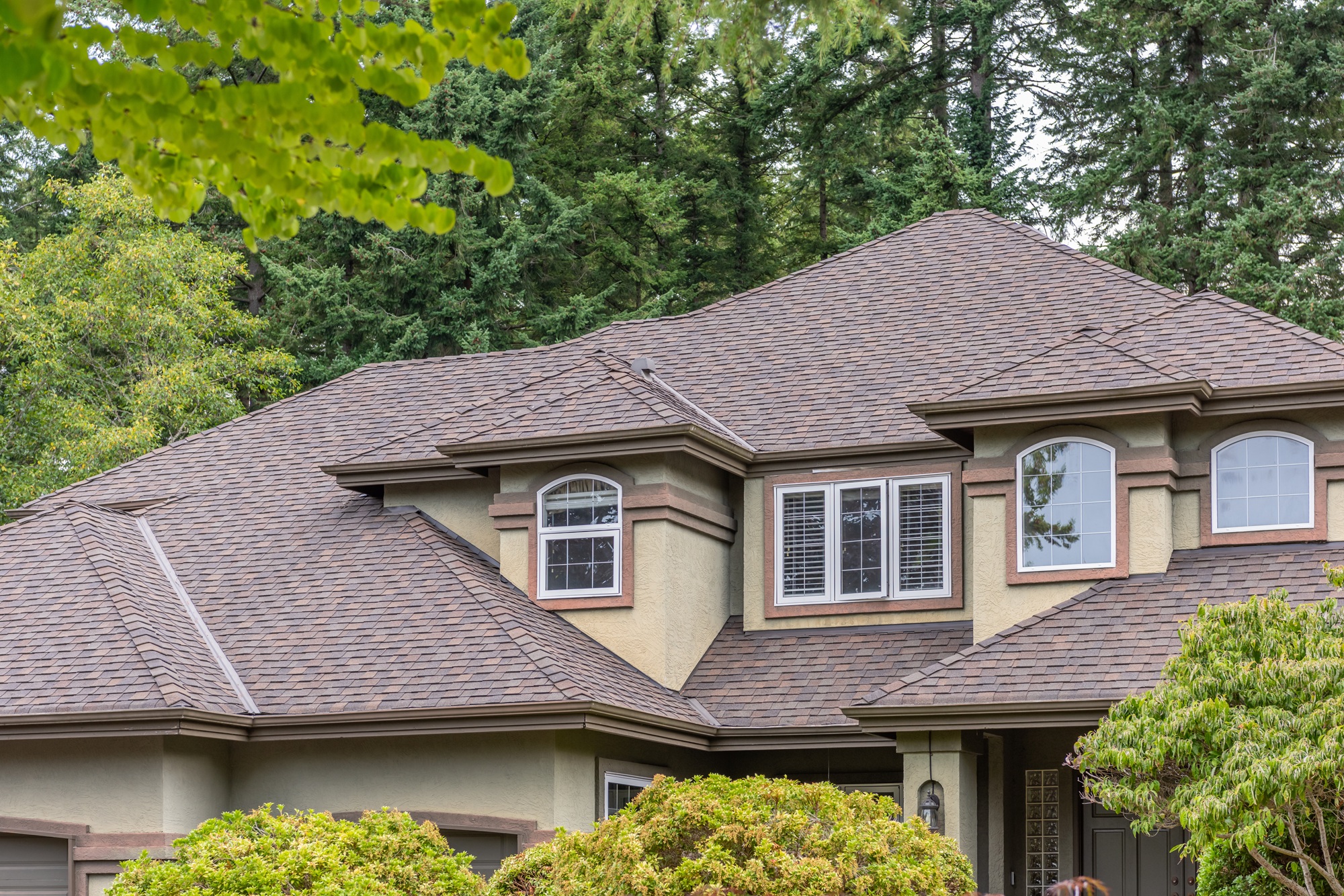 Roof cleaning company Portland OR