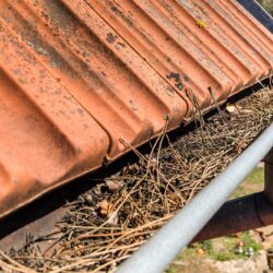Gutter Cleaning In Portland Or