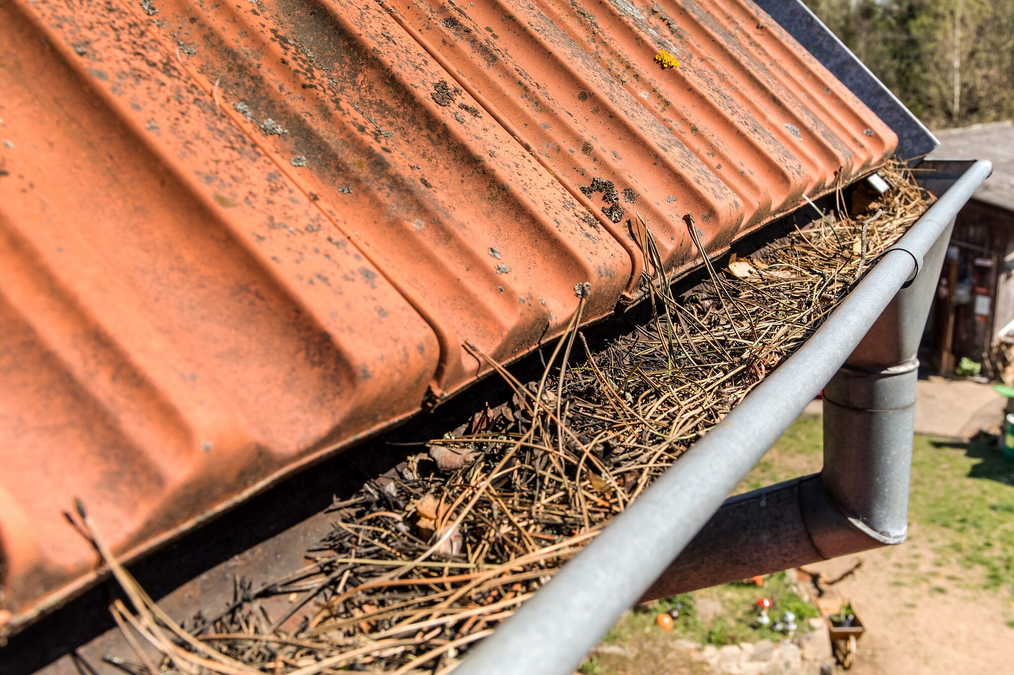 Gutter Cleaning In Portland Or