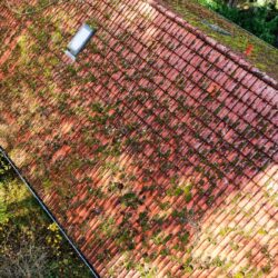 roof cleaning Portland Oregon