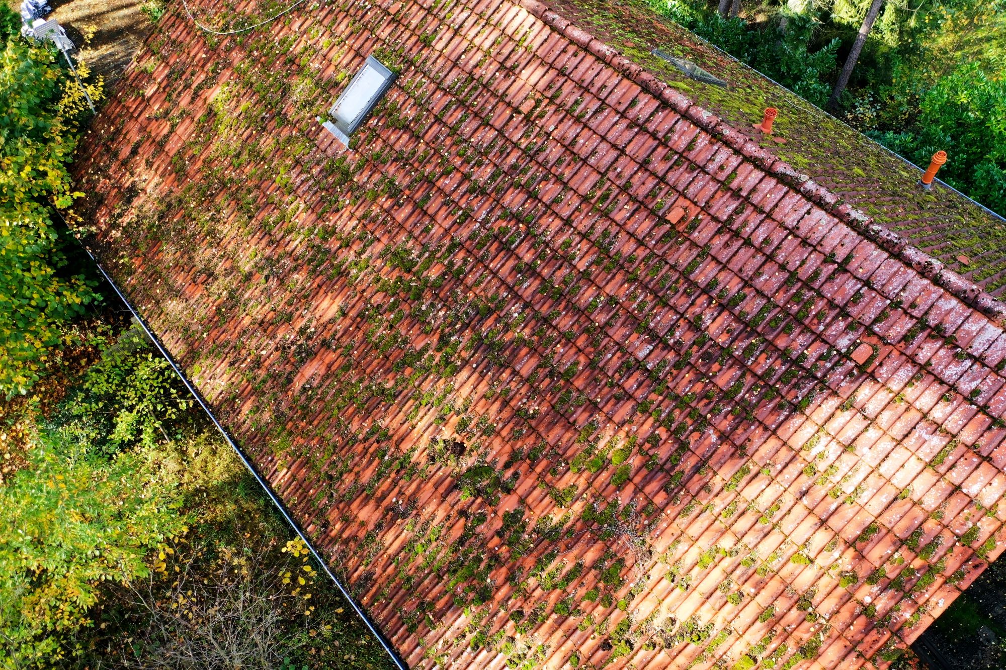 roof cleaning Portland Oregon