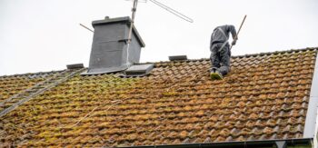 roof cleaning company Portland OR