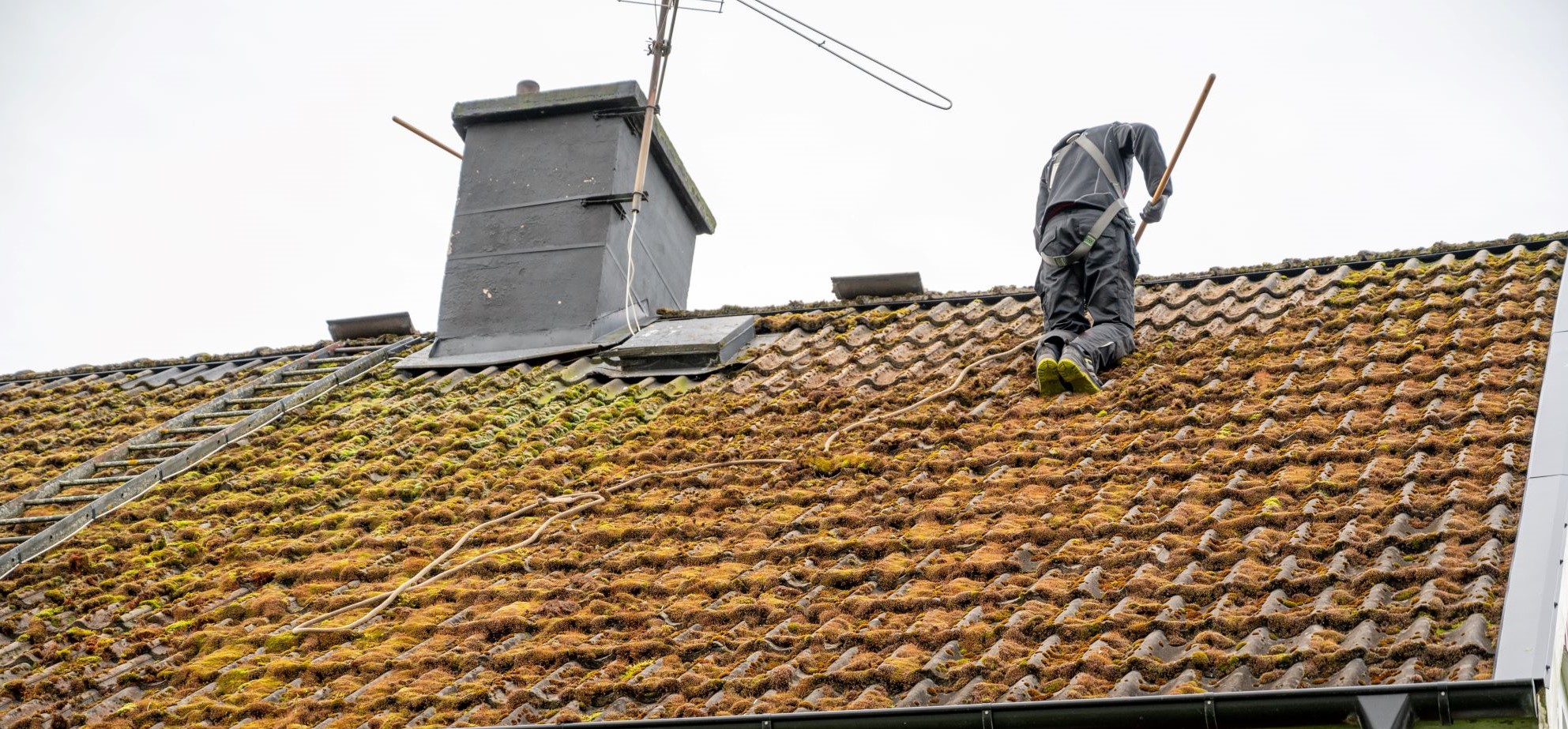 roof cleaning company Portland OR