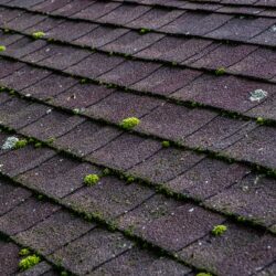 roof cleaning Portland OR roof cleaning Portland OR