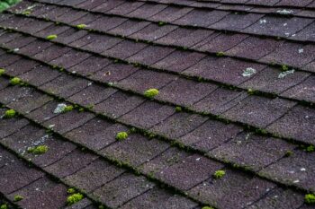 roof cleaning Portland OR