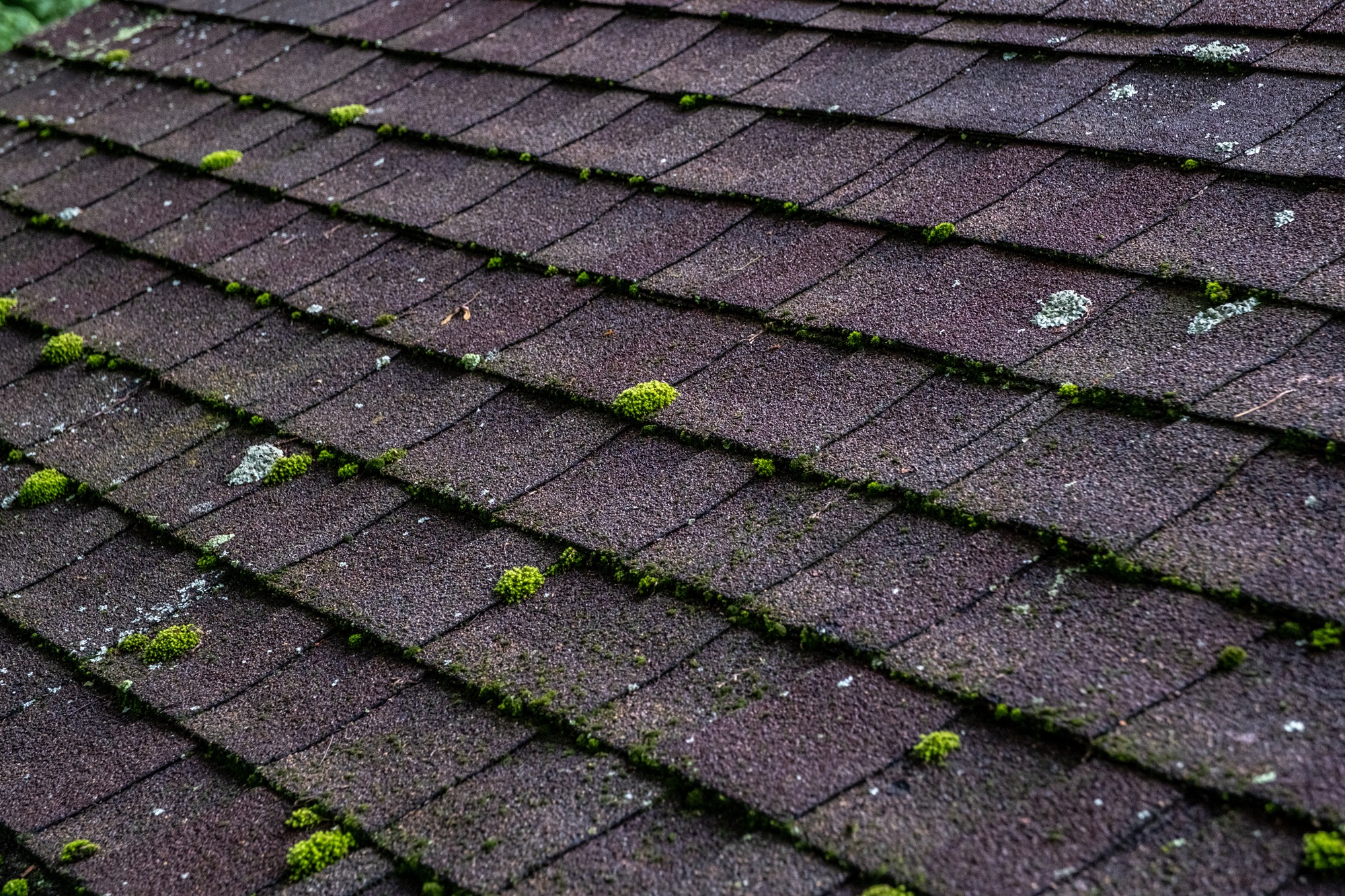 roof cleaning Portland OR