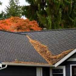 Roof cleaning company Portland OR Roof cleaning company Portland OR