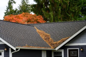 Roof cleaning company Portland OR