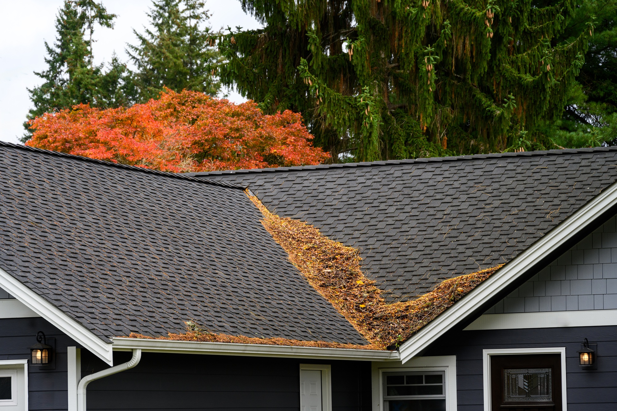 Roof cleaning company Portland OR