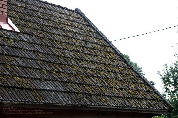 Roof Cleaning In Portland Oregon