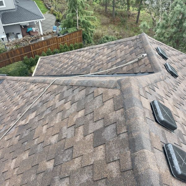 Trusted Roof Leak Repair Near Me Portland Or