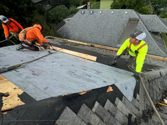 Roof Repair Near Me Pearl District